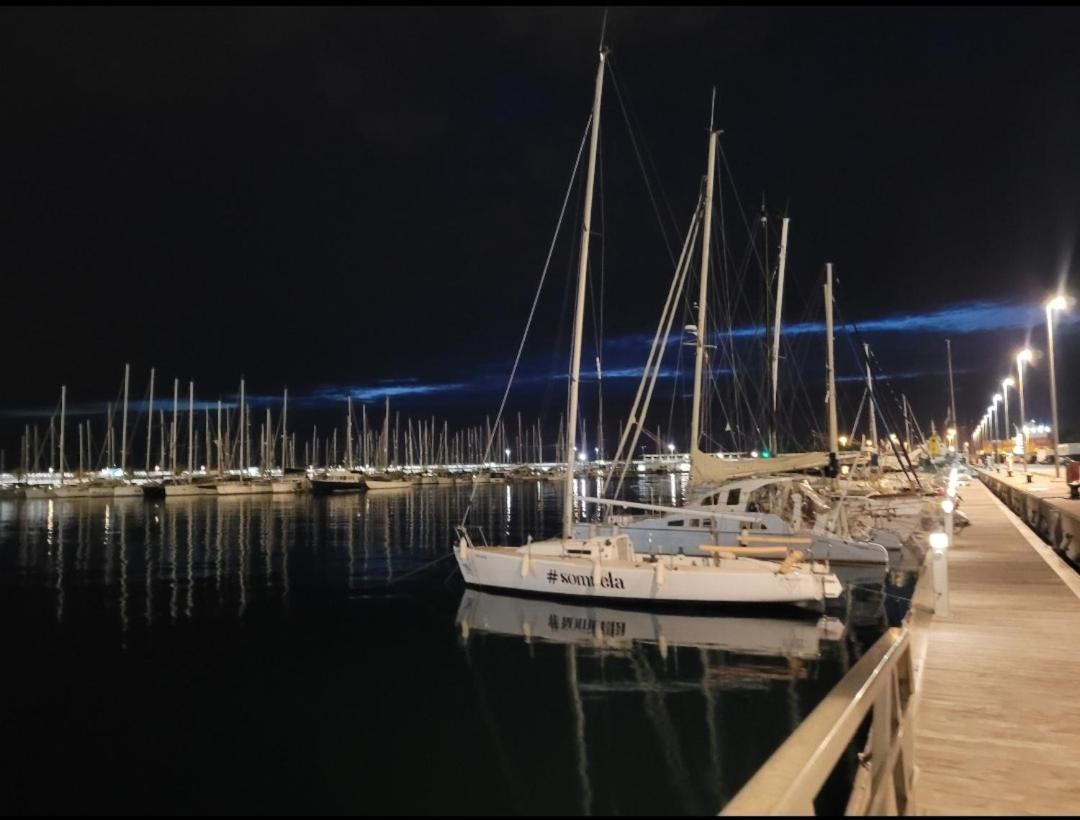 Zeus Otel Valensiya Dış mekan fotoğraf